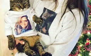 150 Examples of the Funniest Tinder Profiles That Will Make You Look Twice
