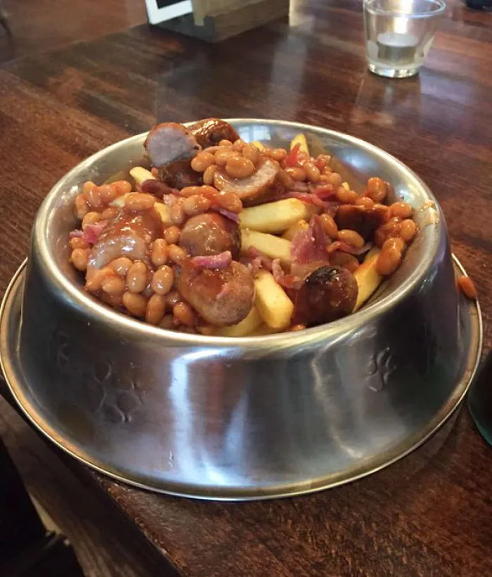 Comida en un cuenco para perros