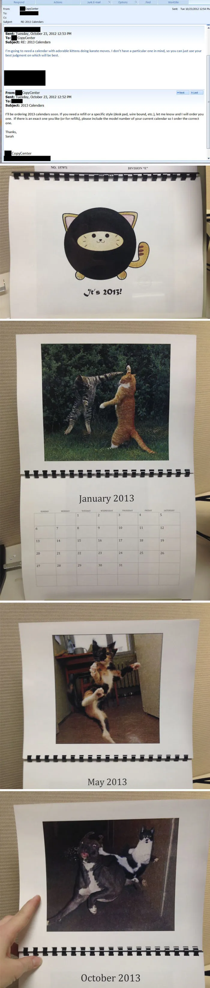 So Yesterday The Copy Manager Where I Work Emailed Everyone Asking About Calendar Orders For 2013. I Emailed Her Back Saying I Needed One Of Cats Doing Karate. Found This In My Chair This Morning
