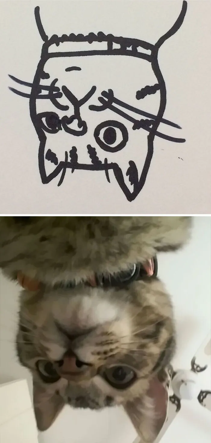 When Your Teacher Keeps Saying You Can't Draw Cats, But Your Paintings Are Photorealistic