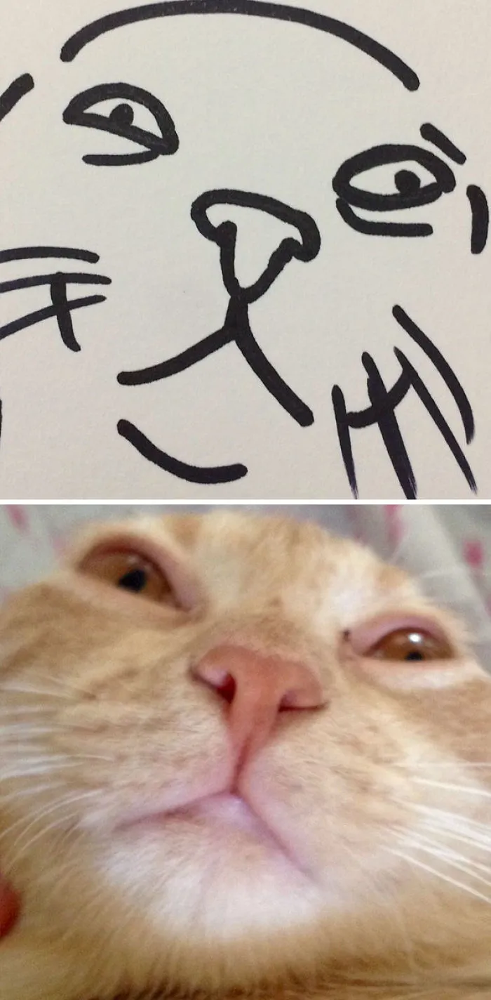Cuando el profesor te dice que no sabes dibujar gatos, pero tus dibujos son casi fotorrealistas