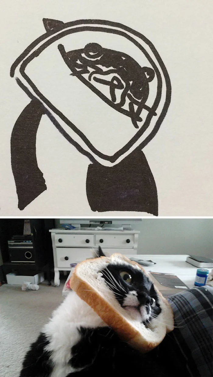 When Your Teacher Keeps Saying You Can't Draw Cats, But Your Paintings Are Photorealistic