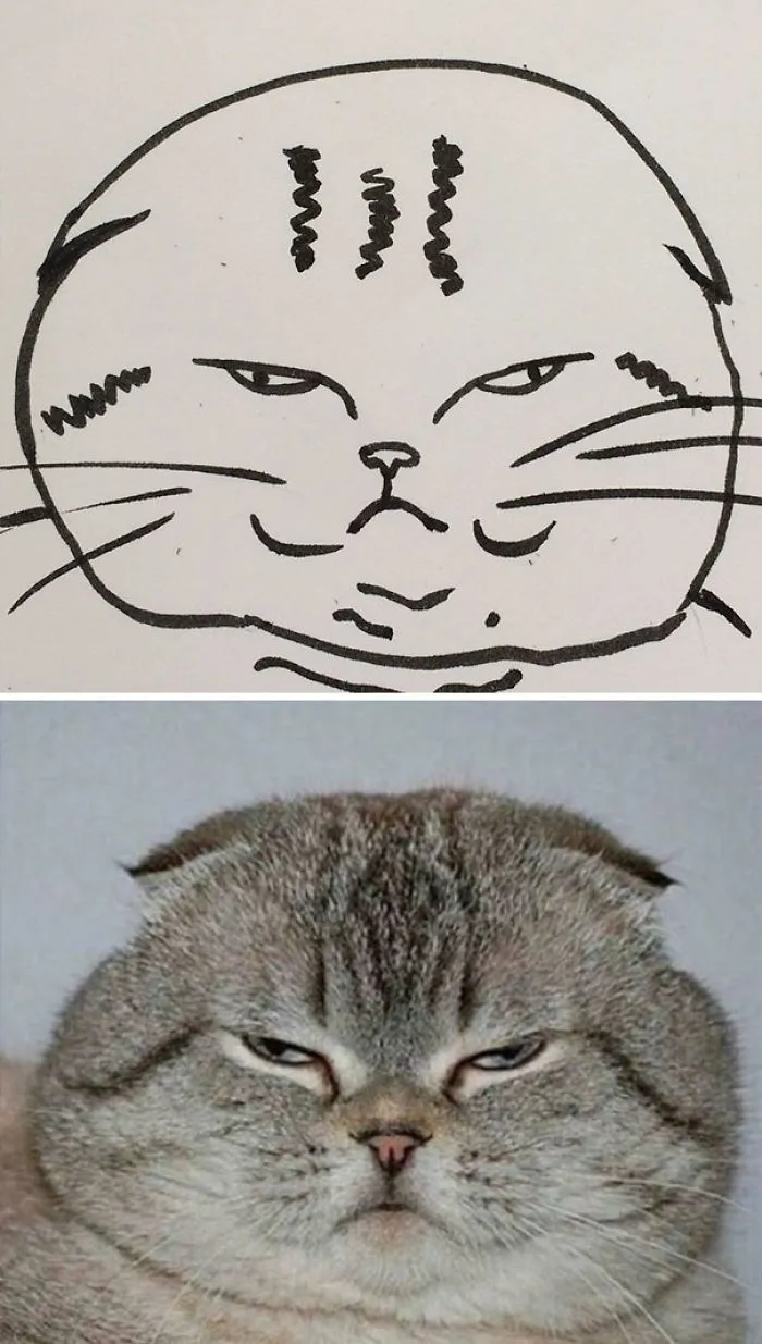 When Your Teacher Keeps Saying You Can't Draw Cats, But Your Paintings Are Photorealistic