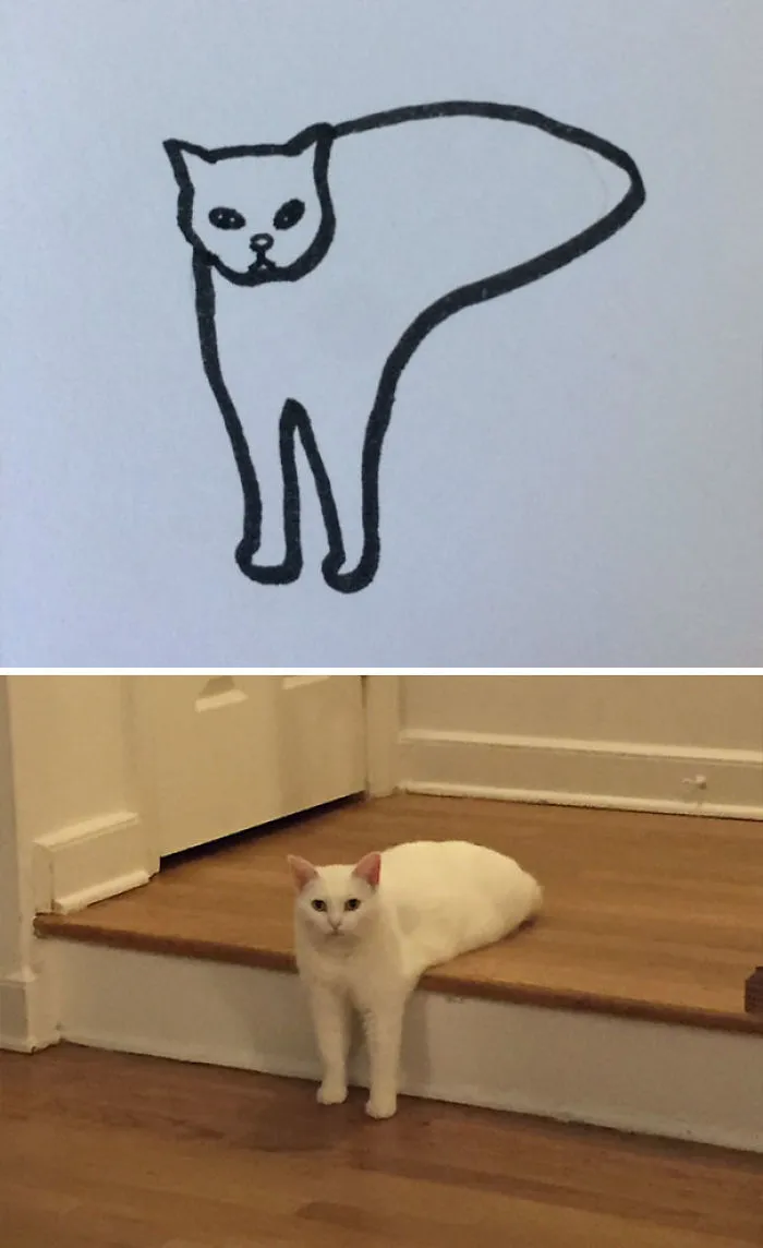 When Your Teacher Keeps Saying You Can't Draw Cats, But Your Paintings Are Photorealistic