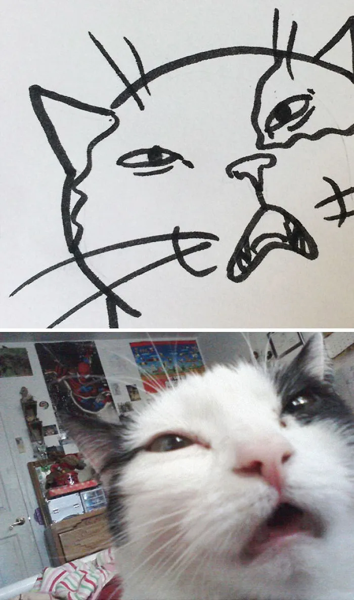 Cuando el profesor te dice que no sabes dibujar gatos, pero tus dibujos son casi fotorrealistas