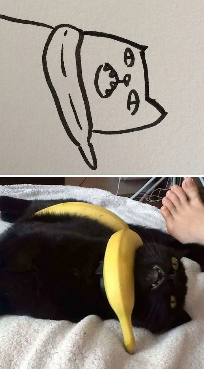 When Your Teacher Keeps Saying You Can't Draw Cats, But Your Paintings Are Photorealistic