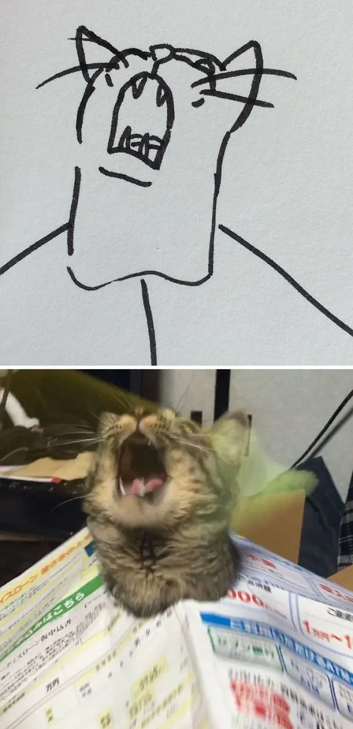 When Your Teacher Keeps Saying You Can't Draw Cats, But Your Paintings Are Photorealistic