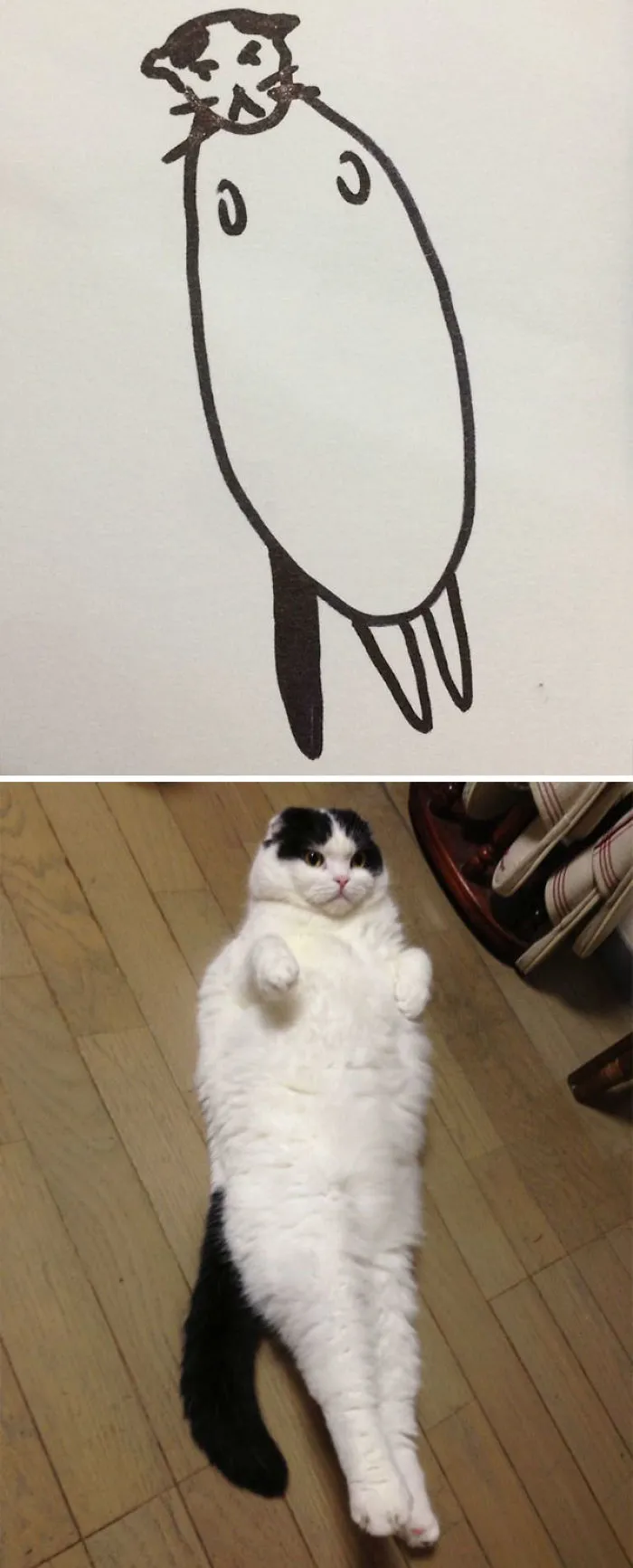 When Your Teacher Keeps Saying You Can't Draw Cats, But Your Paintings Are Photorealistic