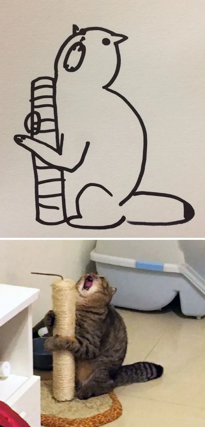 When Your Teacher Keeps Saying You Can't Draw Cats, But Your Paintings Are Photorealistic