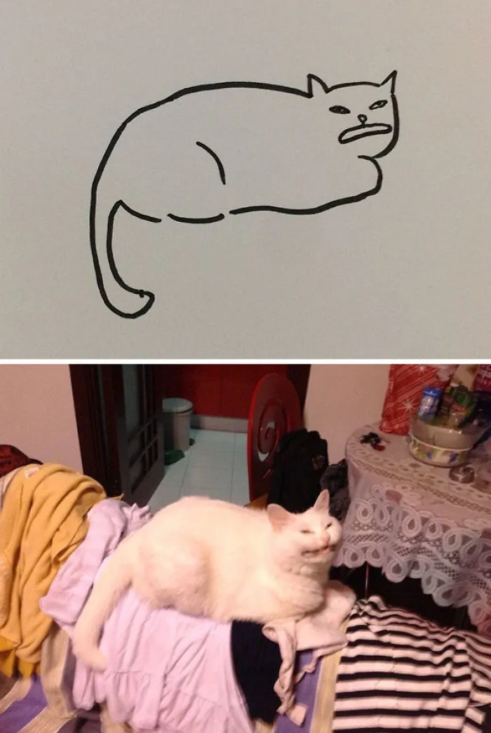 When Your Teacher Keeps Saying You Can't Draw Cats, But Your Paintings Are Photorealistic
