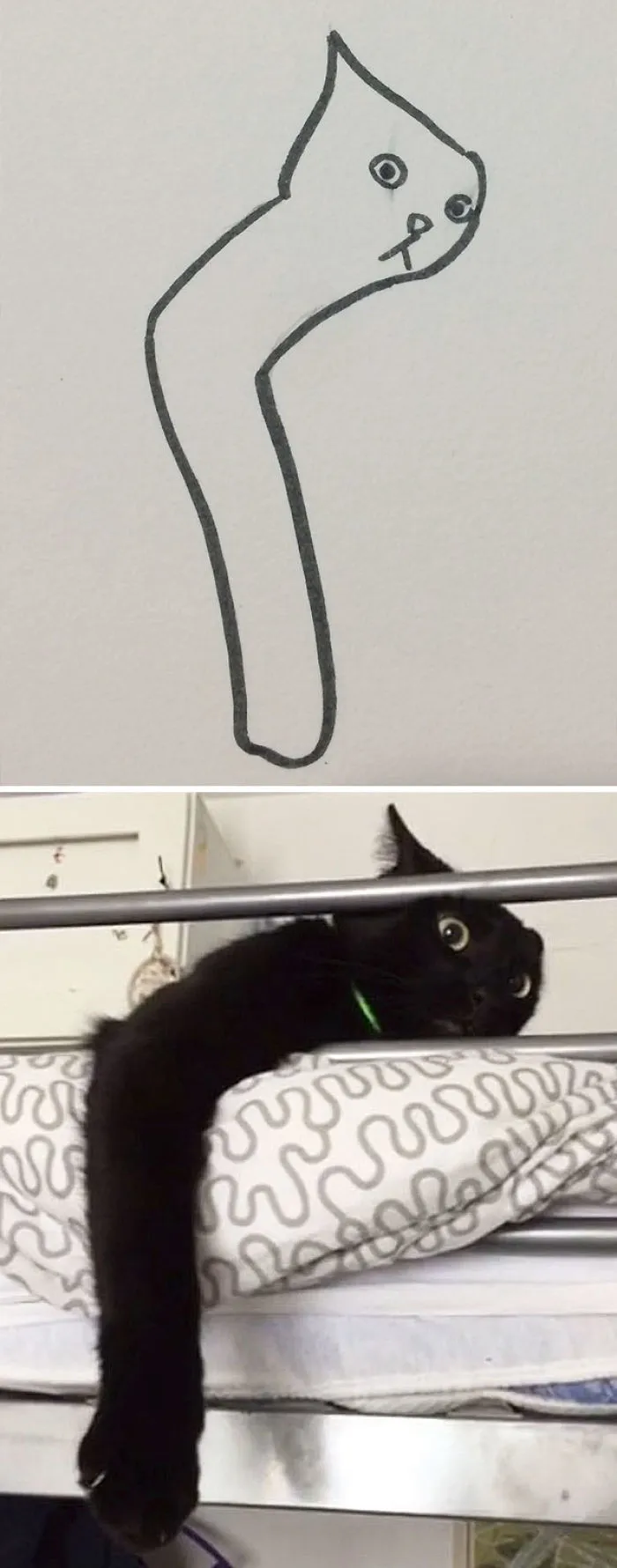 When Your Teacher Keeps Saying You Can't Draw Cats, But Your Paintings Are Photorealistic