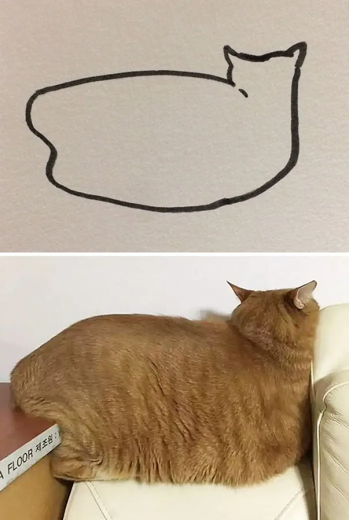 Cuando el profesor te dice que no sabes dibujar gatos, pero tus dibujos son casi fotorrealistas