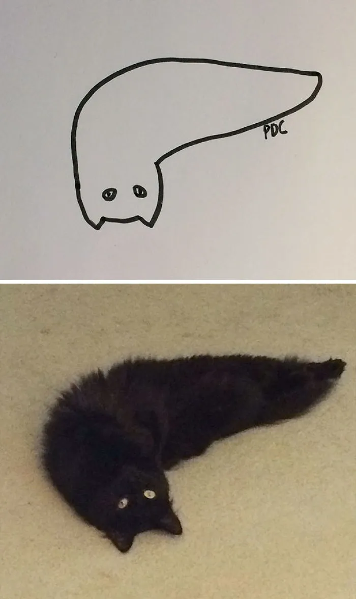 When Your Teacher Keeps Saying You Can't Draw Cats, But Your Paintings Are Photorealistic