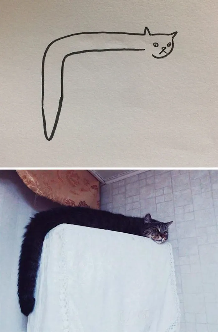 When Your Teacher Keeps Saying You Can't Draw Cats, But Your Paintings Are Photorealistic