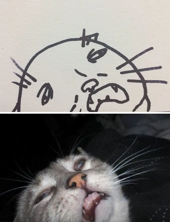 When Your Teacher Keeps Saying You Can't Draw Cats, But Your Paintings Are Photorealistic