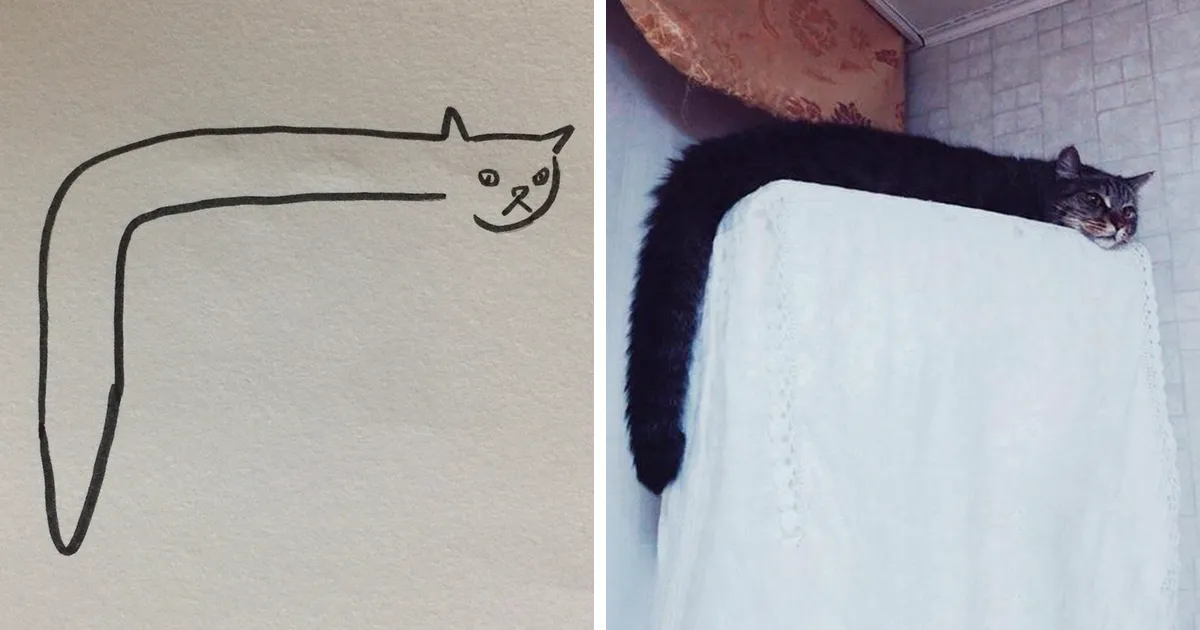 Cuando el profesor te dice que no sabes dibujar gatos, pero tus dibujos son casi fotorrealistas