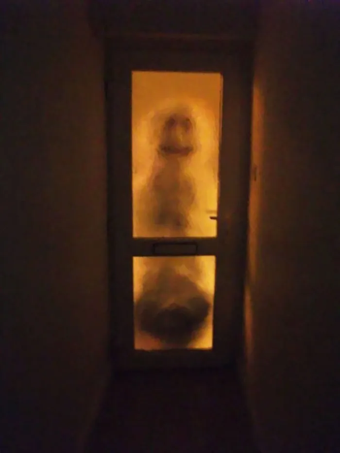 My Housemate Has To Get Up At 4am For A Train. I'll Just Leave This Snowman Here