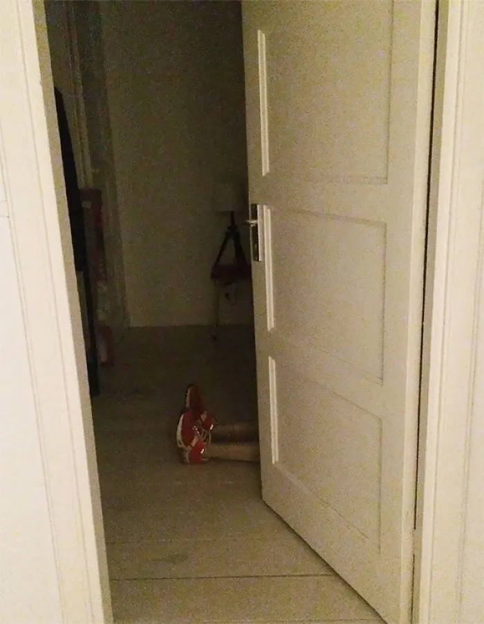 He guardado unas piernas de maniquí en el cuarto del compañero