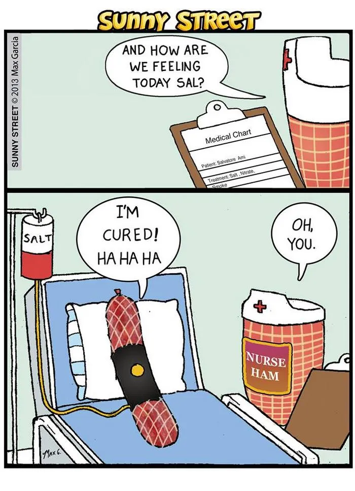 205 Hilarious Sunny Street Comics With Unexpected Endings