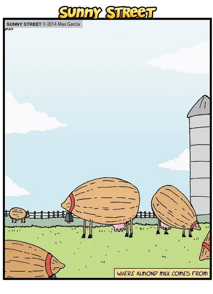 205 Hilarious Sunny Street Comics With Unexpected Endings