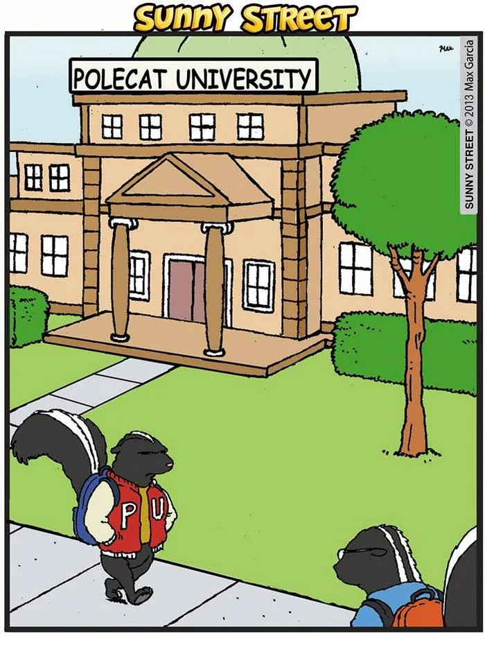 205 Hilarious Sunny Street Comics With Unexpected Endings