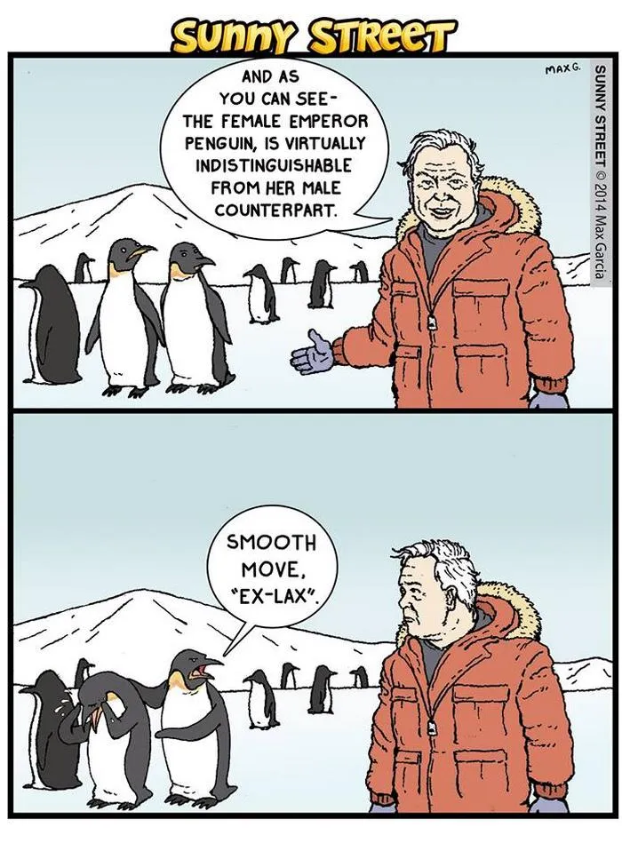 205 Hilarious Sunny Street Comics With Unexpected Endings