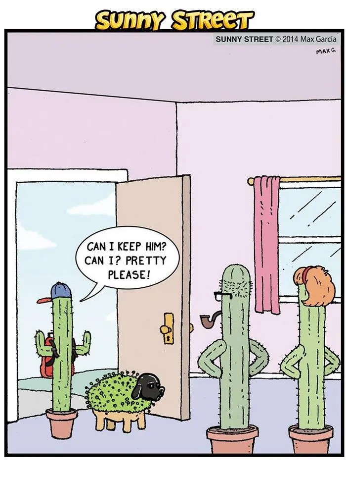 205 Hilarious Sunny Street Comics With Unexpected Endings