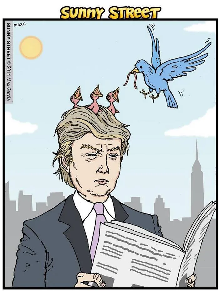 205 Hilarious Sunny Street Comics With Unexpected Endings