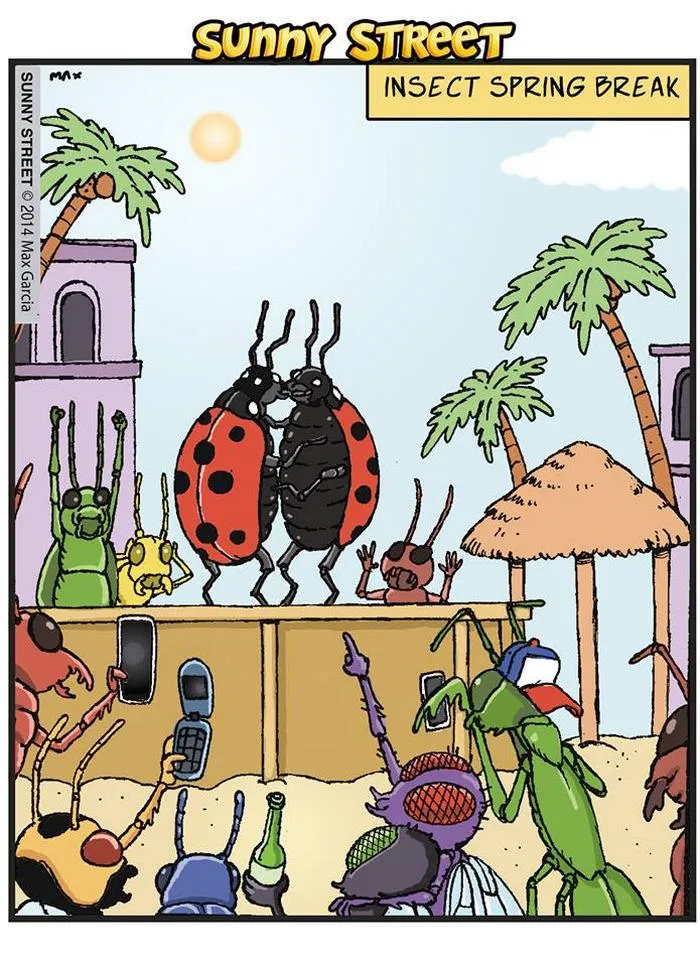 205 Hilarious Sunny Street Comics With Unexpected Endings