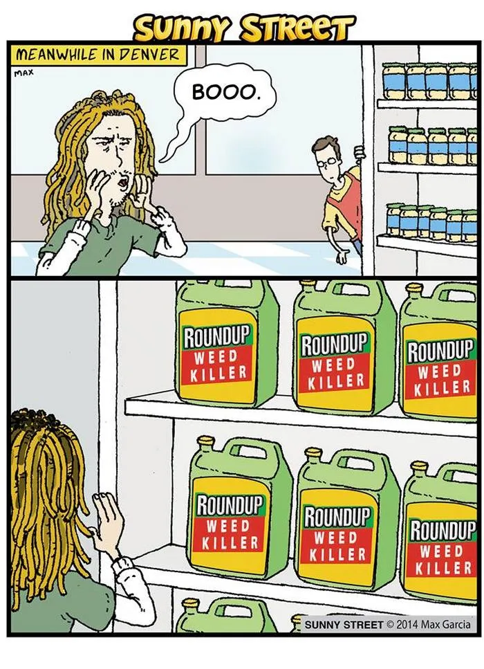 205 Hilarious Sunny Street Comics With Unexpected Endings