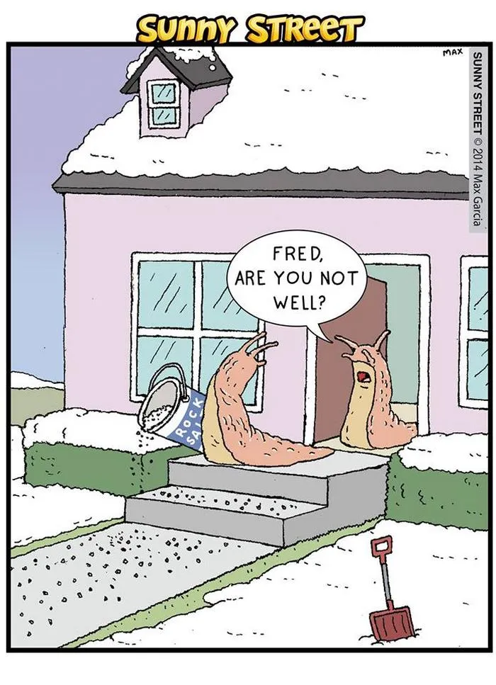205 Hilarious Sunny Street Comics With Unexpected Endings