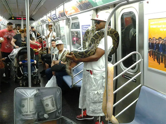 Snakes On A Train
