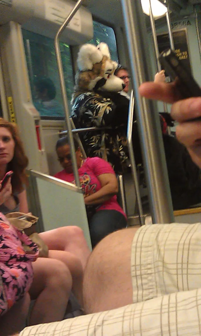 I Always Thought People Lied About Seeing Weird Things On The Subway