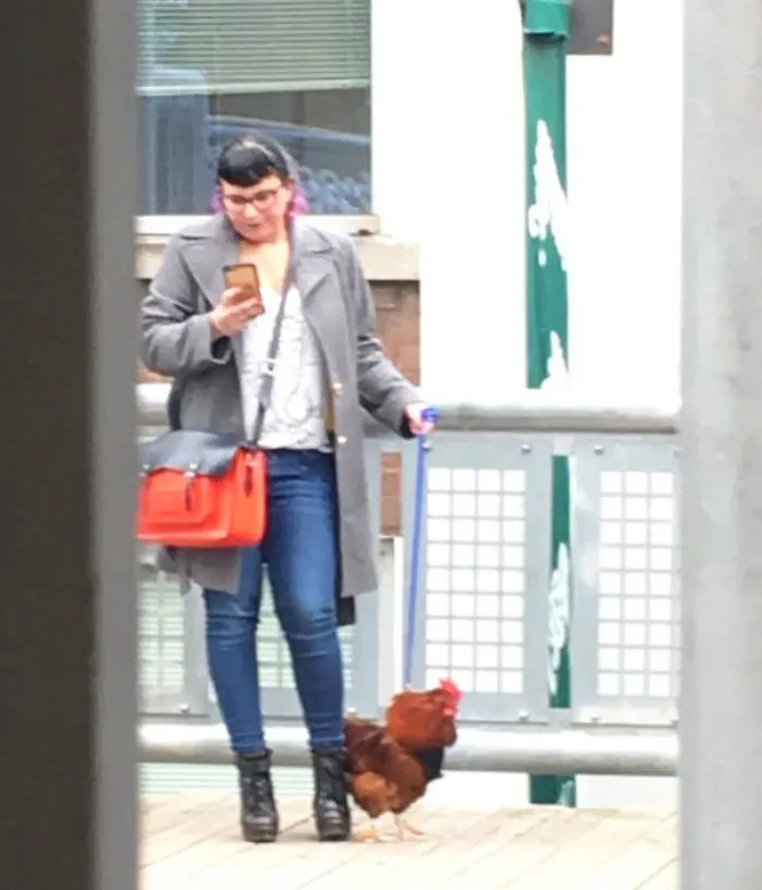 Person with pink-streaked hair using a phone, holding a chicken on a leash at the subway station.