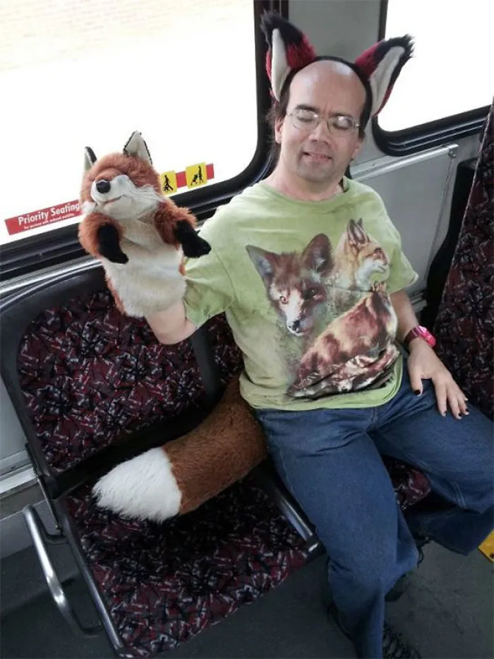 Fox Guy