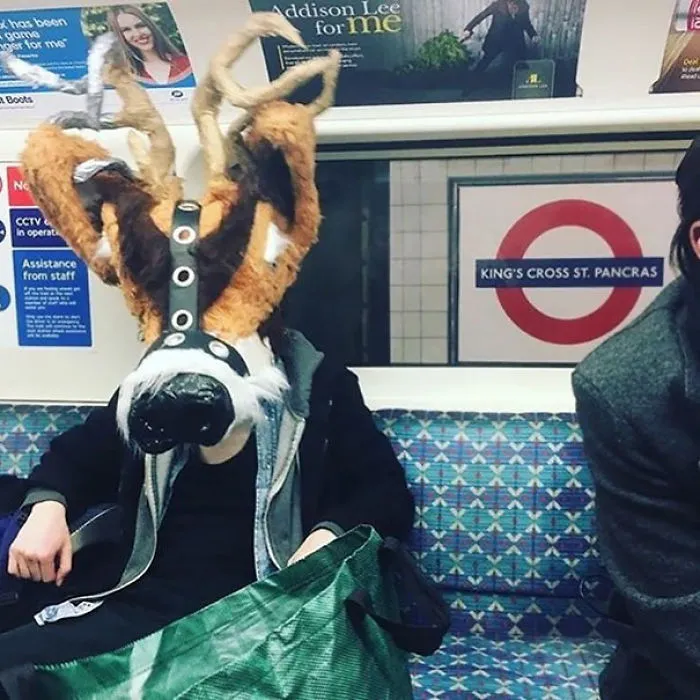 Bondage Reindeer?