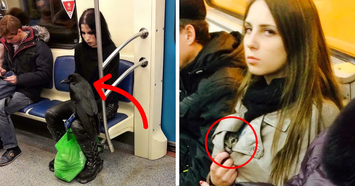 49 Of The Weirdest People Ever Spotted Riding On The Subway
