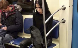 176 Of The Weirdest People Ever Spotted Riding On The Subway