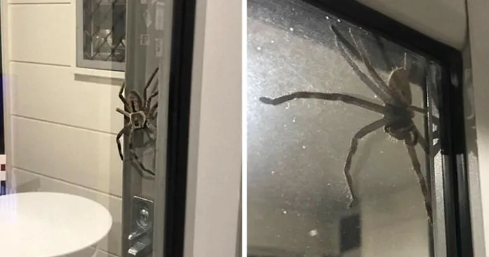 Couple Shares Why They Can't Leave Their Home And Everyone Is Telling Them To Burn Their House