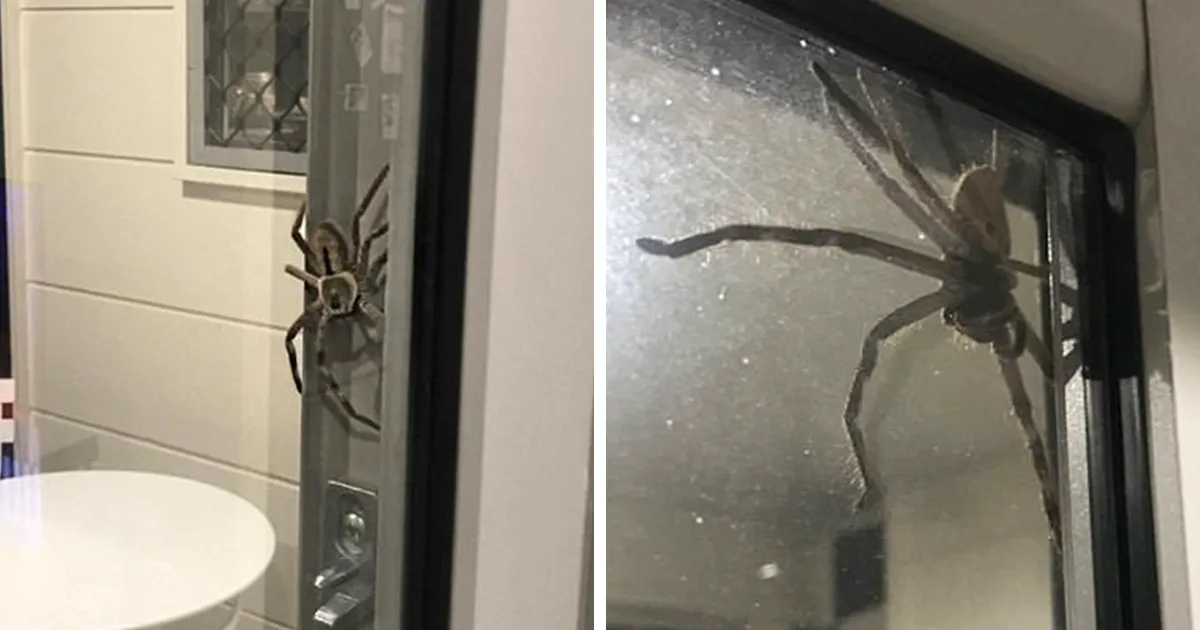 Couple Shares Why They Can't Leave Their Home And Everyone Is Telling Them To Burn Their House