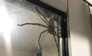 Couple Shares Why They Can't Leave Their Home And Everyone Is Telling Them To Burn Their House