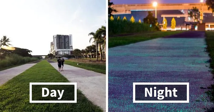 Singapore Is Testing Glow-In-The Dark Paths, And It's A Really Bright Idea