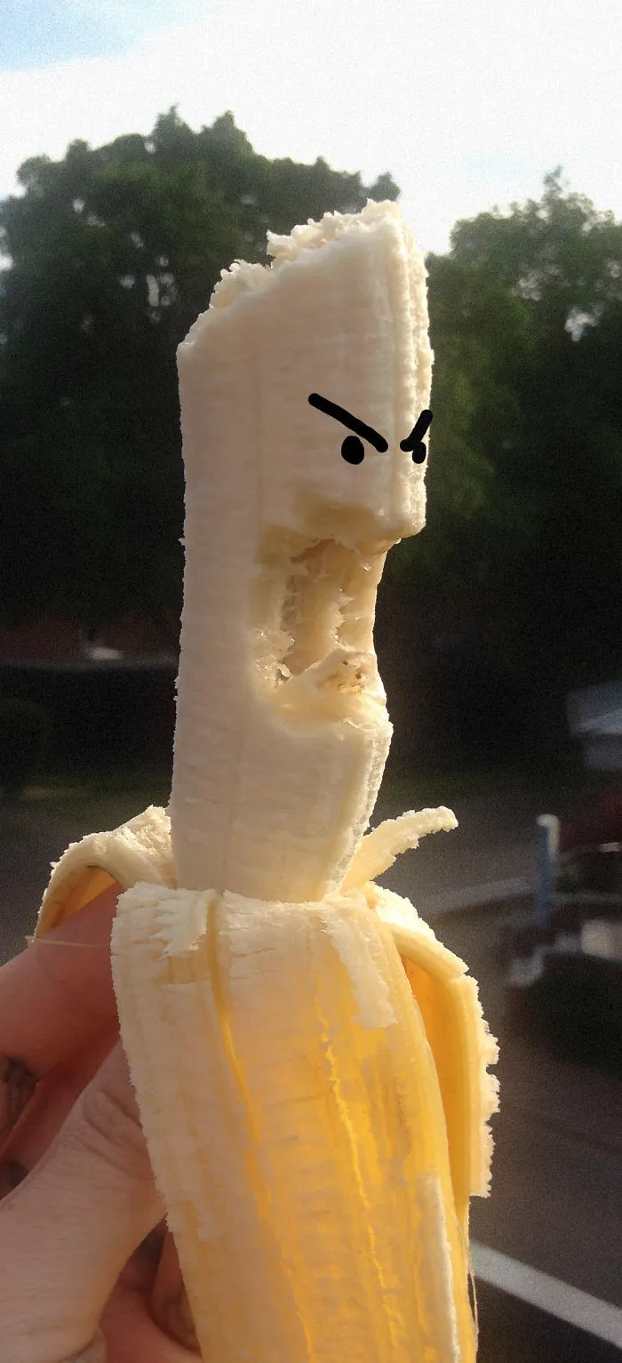 Animalfood • Foodanimals