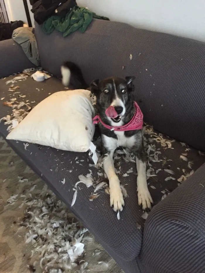 Wasn't Me!