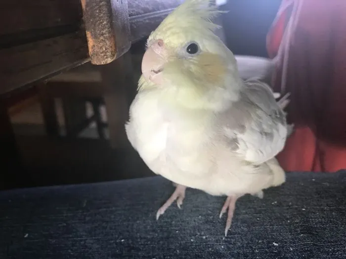 He Tried To Take My Food When I Wasn't Looking.