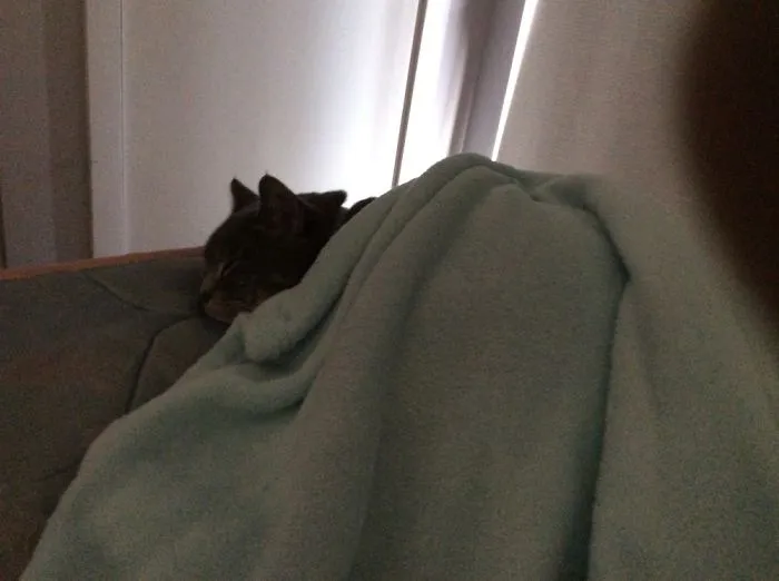 Snooze