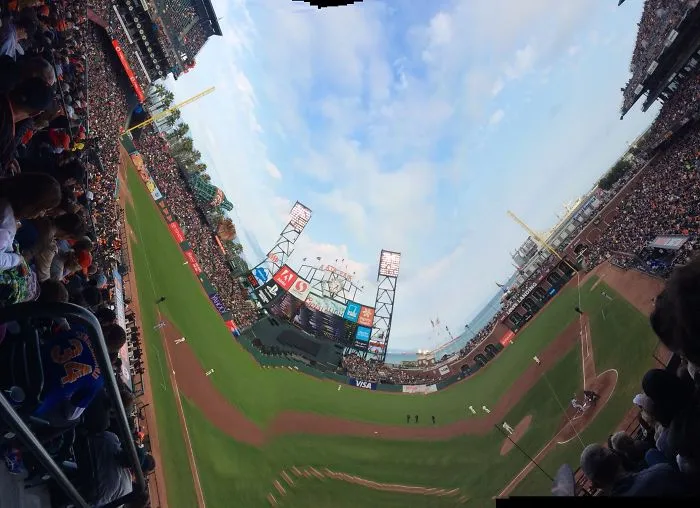 S.f. Giants Level The Playing Field.  Roguepano.