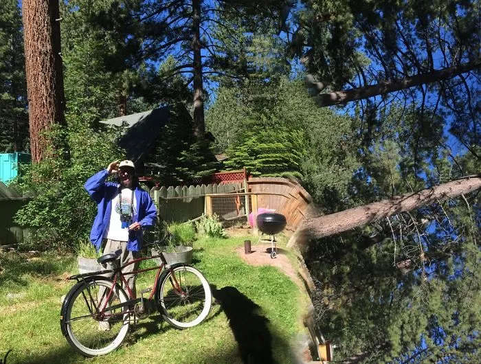 "downhill Cruiser ".  Roguepano.