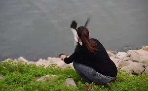 How To Rescue A Wild Animal...