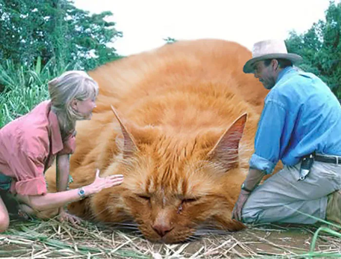 Someone Replaced Jurassic Park Dinosaurs With Cats, And It's Hilarious
